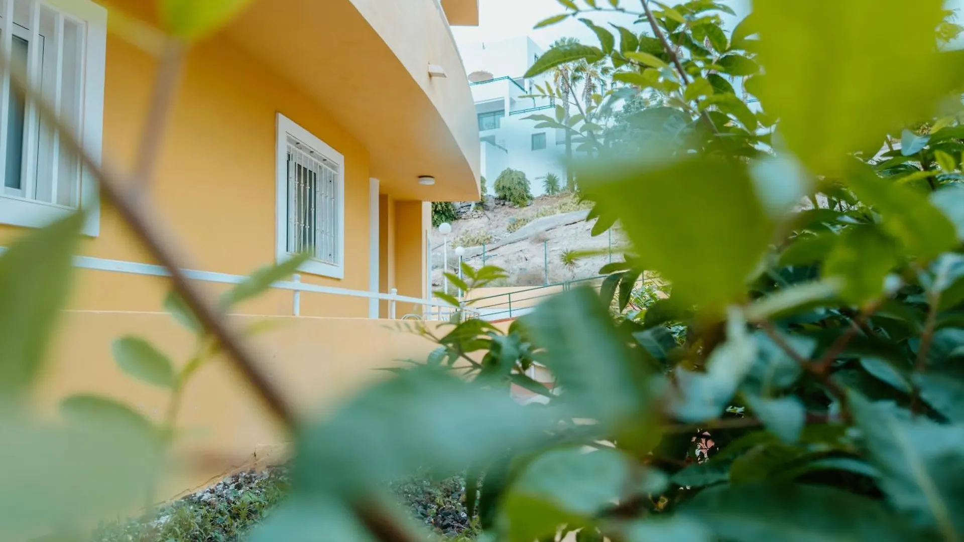 Sunshine By The Ocean 1Br Apartment Costa Adeje By Aqua Vista Tenerife ספרד